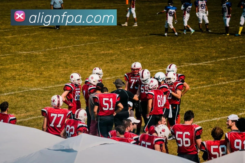 App Interface Preview