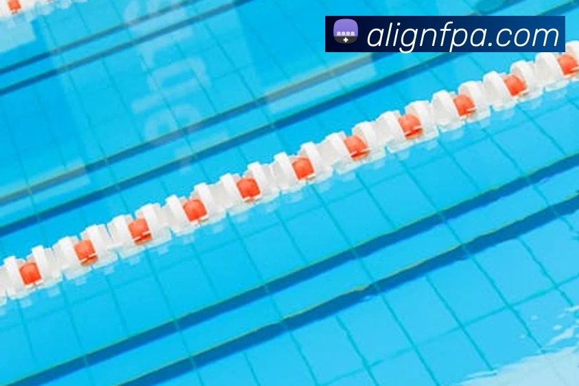 pa真人视讯APP 封面图